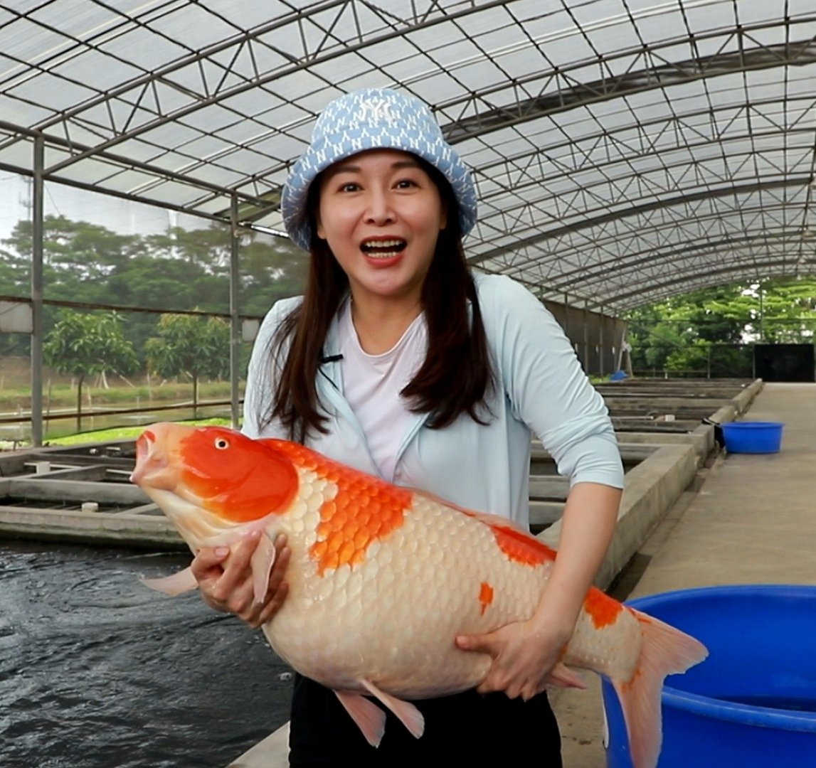 See big koi, good luck, you feel it?