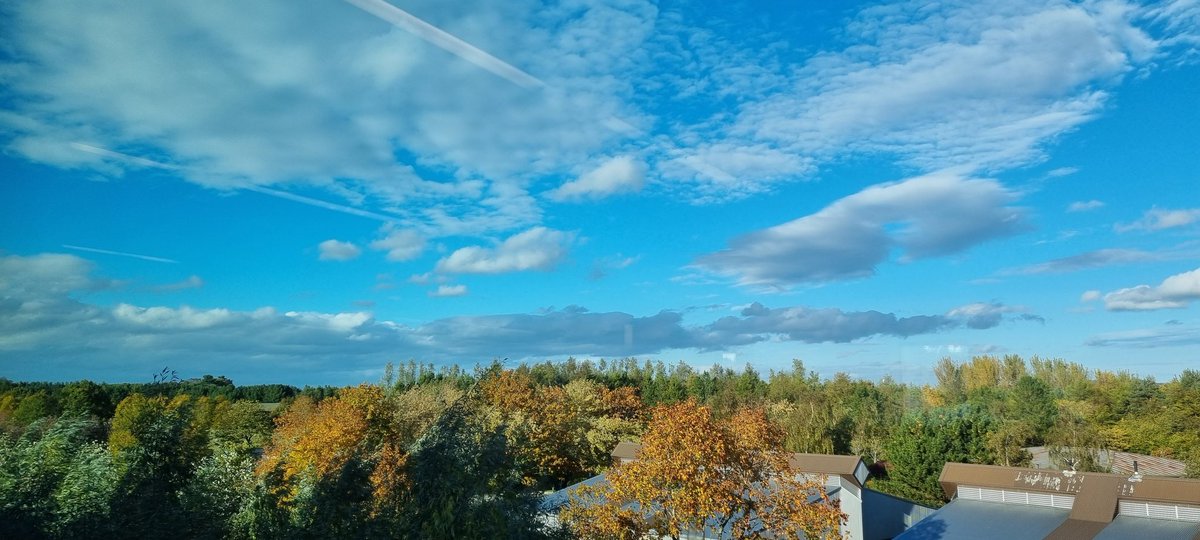 Heather Stewart tweet media