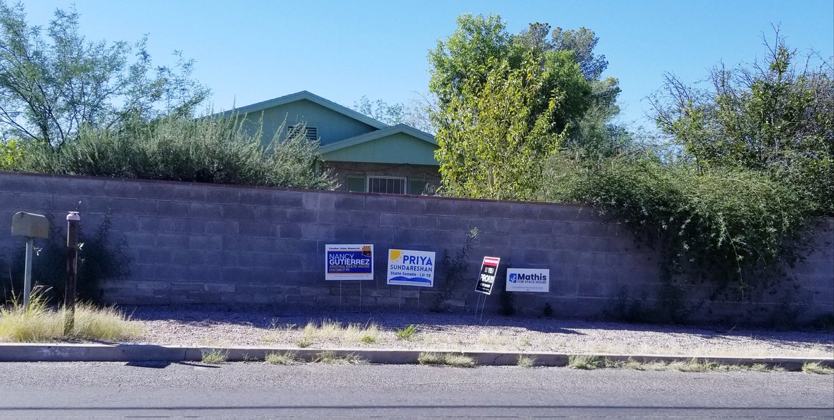 @nancygforAZ @ItaaTucson @priya4az @MathisforAZ Saw this yesterday, a block from my home! And another just down the street! 💙