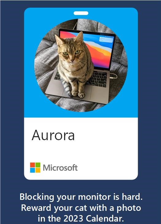 It's October, and employees and alumni are donating to enter their cats in the Cats of Microsoft as part of Microsoft Give. A group of employees started this project in 2008 and we're still volunteering. Why? Because our cats said so. #MicrosoftLife #CatsofMicrosoft
