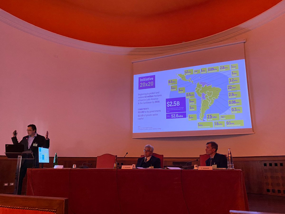 restoreforward's tweet photo. How can governments improve and innovate on #PublicPrograms that pay people to grow trees?

Our expert René Zamora Cristales speaks on the #PolicyAccelerator at the International Conference on Global Forest and Tree Restoration in Rome🌱 https://t.co/slS1GpxH7V