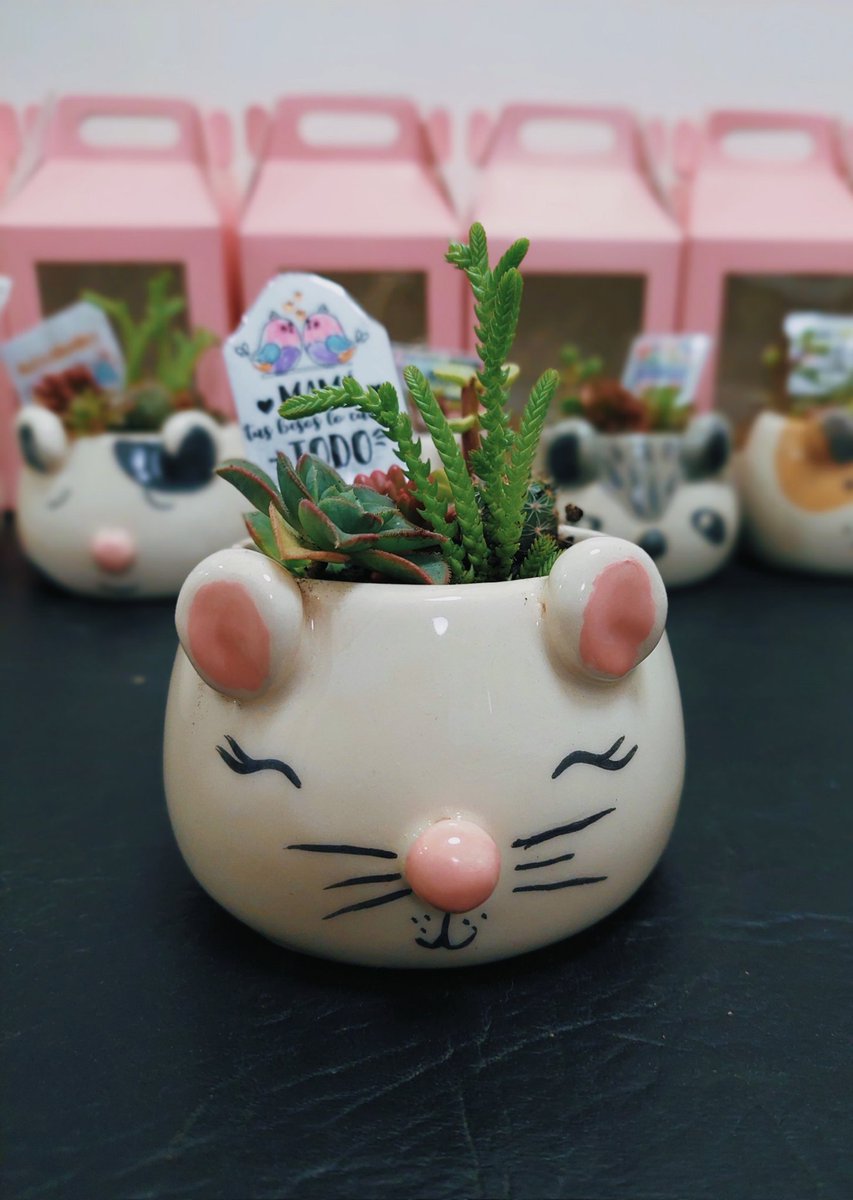 solnazarena's tweet photo. Estoy haciendo macetitas de ceramica con plantitas para el día de la madre , cualquier cosita pueden consultarme y sino con un rt me ayudan muchísimo , graciassss💖 https://t.co/O9EYUSIU6S