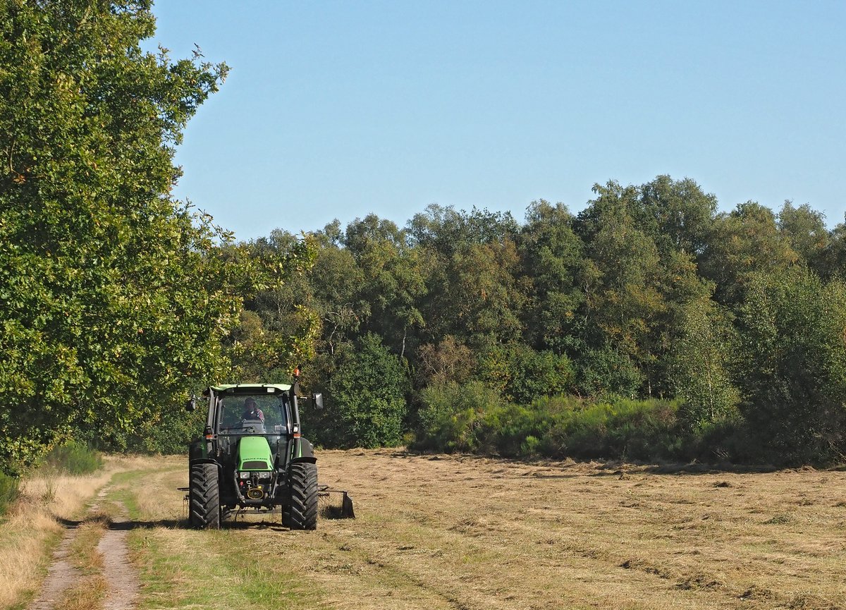N2000drenthe's tweet photo. In het @Holtingerveld1 zijn @Natuurmonument @staatsbosbeheer en @RijksvastgoedNL druk bezig met maaien en afvoeren van de bijzondere heischrale graslanden. Daardoor blijft de hoge biodiversiteit in stand. Prima werk! @LBDrenthe @ProvDrenthe @HenkJumelet @_Prolander https://t.co/HBlER1Mxpv