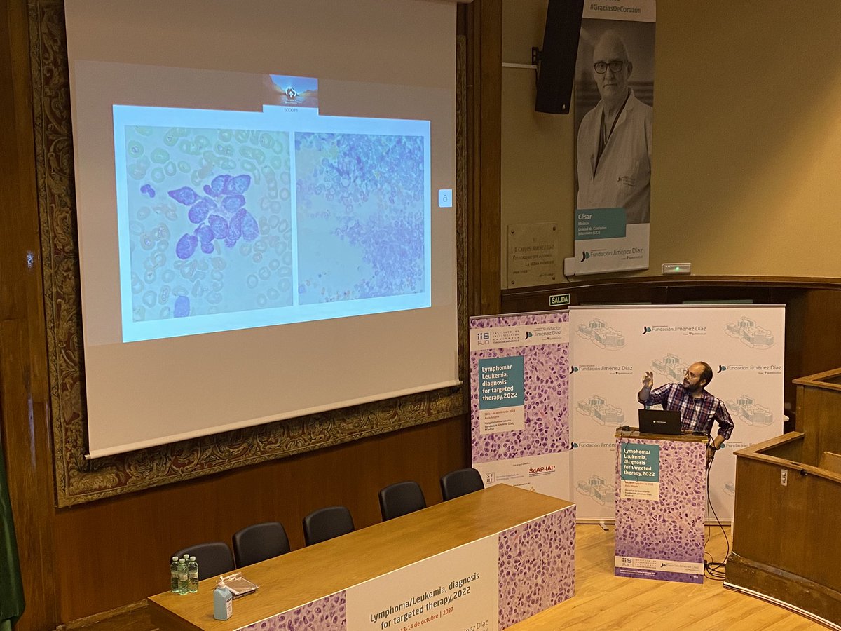 Hematología y Hemoterapia RYC tweet media