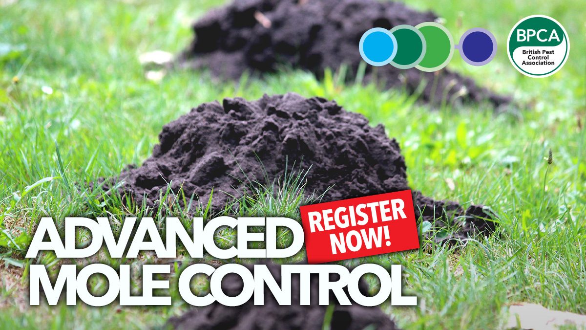 📣 Still places left on our Advanced Mole Control course, with the incomparable Dave Archer! Dave once gave a talk that someone described as "so enjoyable I won't even bother to log my CPD for it". 

INFO and BOOK: ow.ly/K6nc50L91gt

#PestControl #Training #CPD #Learning