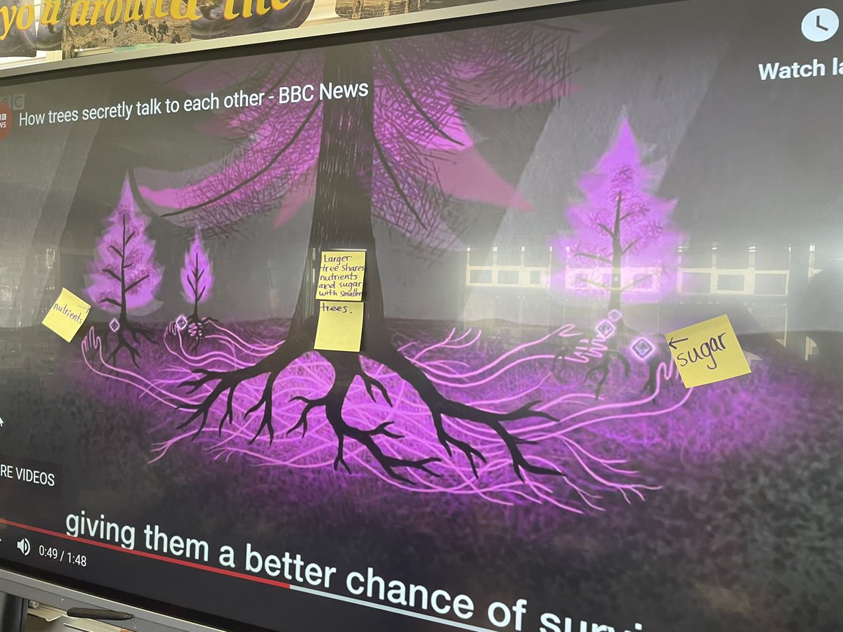 HackettAudra's tweet photo. We’ve been participating in the #writeout through @WRITE_Center this week in 5th grade. Full STEAM ahead! We’re loving learning about how trees communicate and being in our school garden! @sdschools https://t.co/h99IZw7ic0