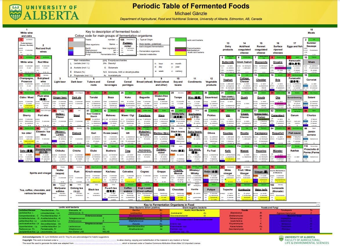 I love a periodic table, but this one of #FermentedFoods is my favourite! Thanks for highlighting it @pauldcotter at #IYS22 Paper👉🏽 link.springer.com/article/10.100…