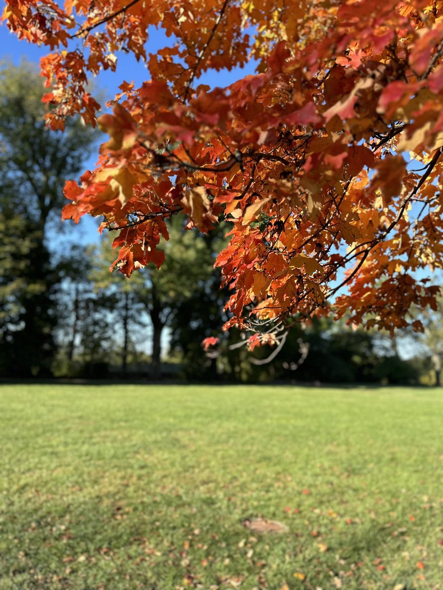 BankerBunch232's tweet photo. Don’t forget to see the beauty in every day. #mountvernon #22dcbus3 #dmsdc22 https://t.co/slc961N6OI