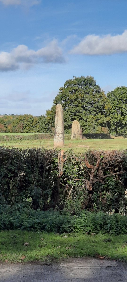 Paul Harding tweet media