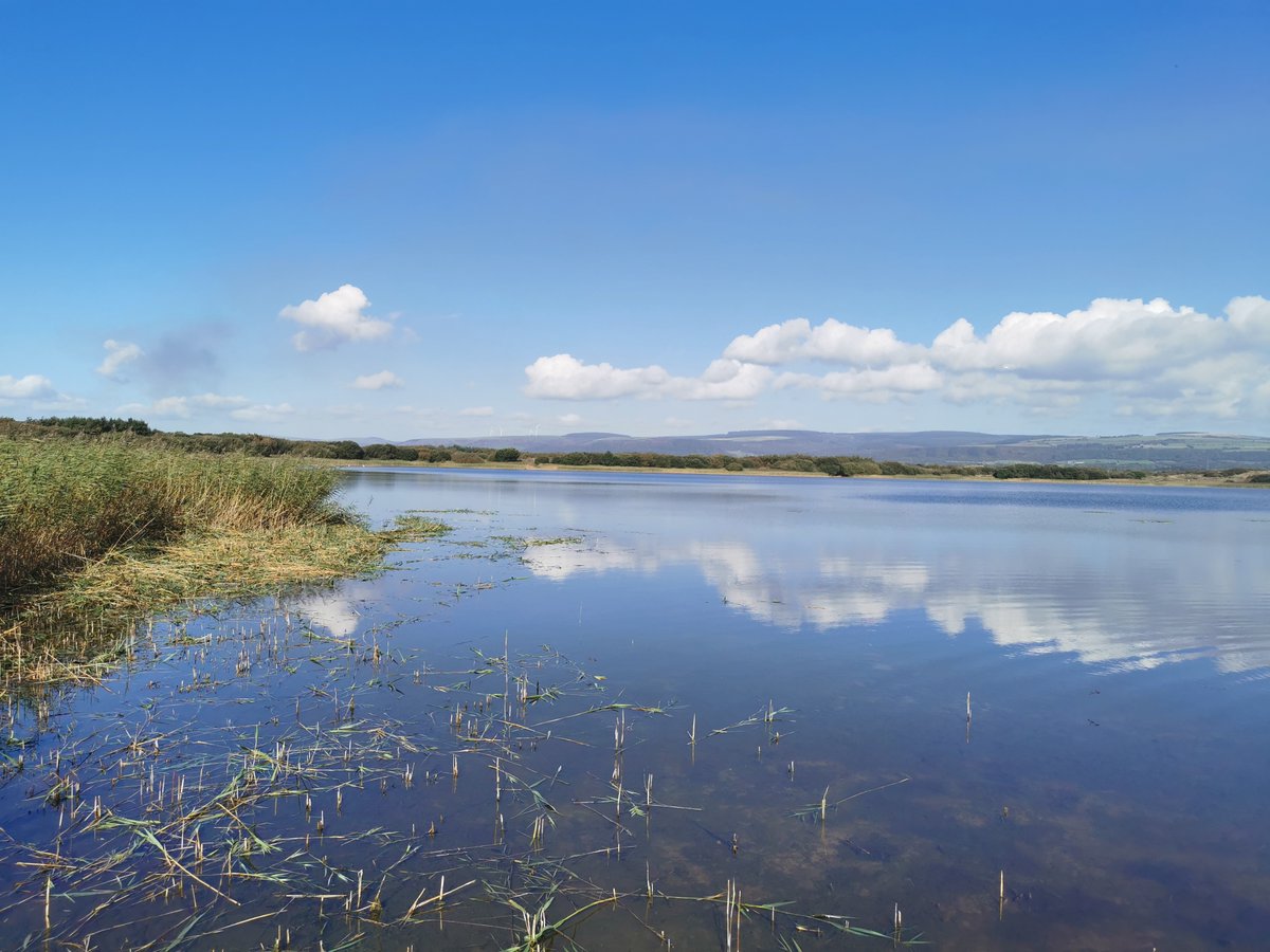 KenfigWarden's tweet photo. Thank you to the volunteers today, I hope you birders are happy with the view now..... one more day and we should be done 😃 #Volpower #Amazing https://t.co/39lxuDDMZj