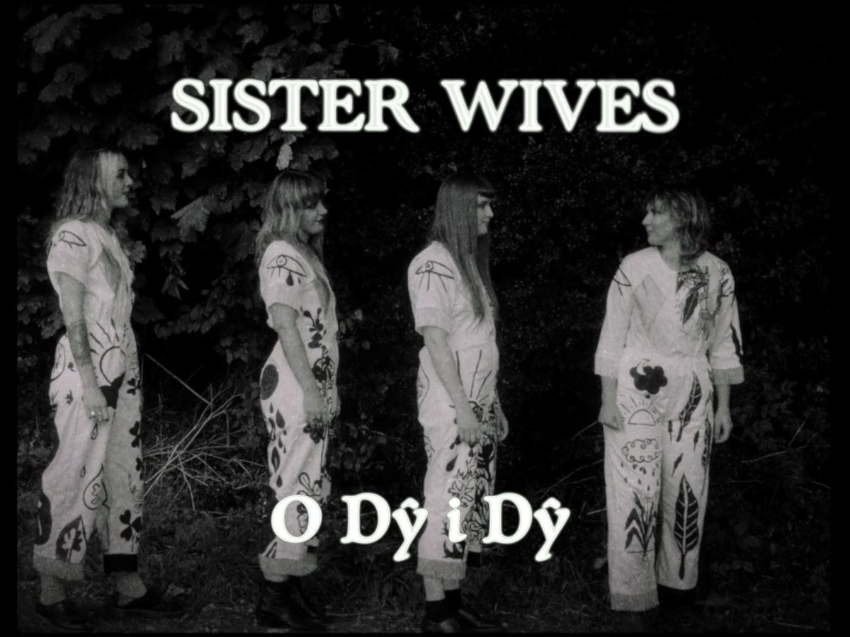 Stills o fideo newydd @sisterwivesband - O Dŷ i Dŷ. 📲 youtu.be/SX0ZRhMgMZQ Mae'r trac newydd yn sôn am arferiad gwerinol Cymraeg De Cymru, Y Fari Lwyd. Allan nawr ar label @LibertinoRecs.