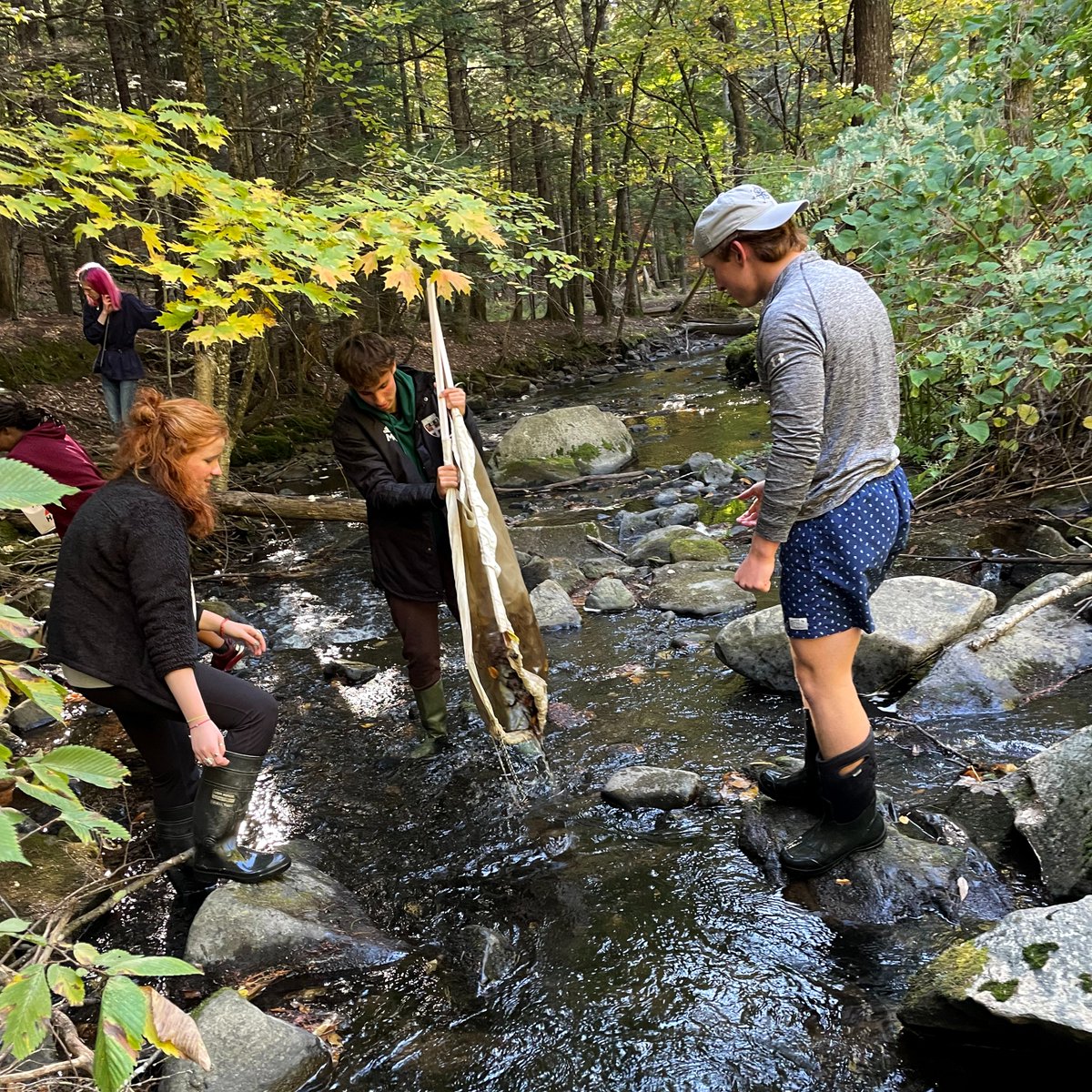 waynflete's tweet photo. Upper School students recently conducted a water quality study at the Mill Brook Stream in Westbrook! They ran various tests and examined insect species to determine overall quality. #Waynflete #LearntoLearn https://t.co/9NHME9LAiK