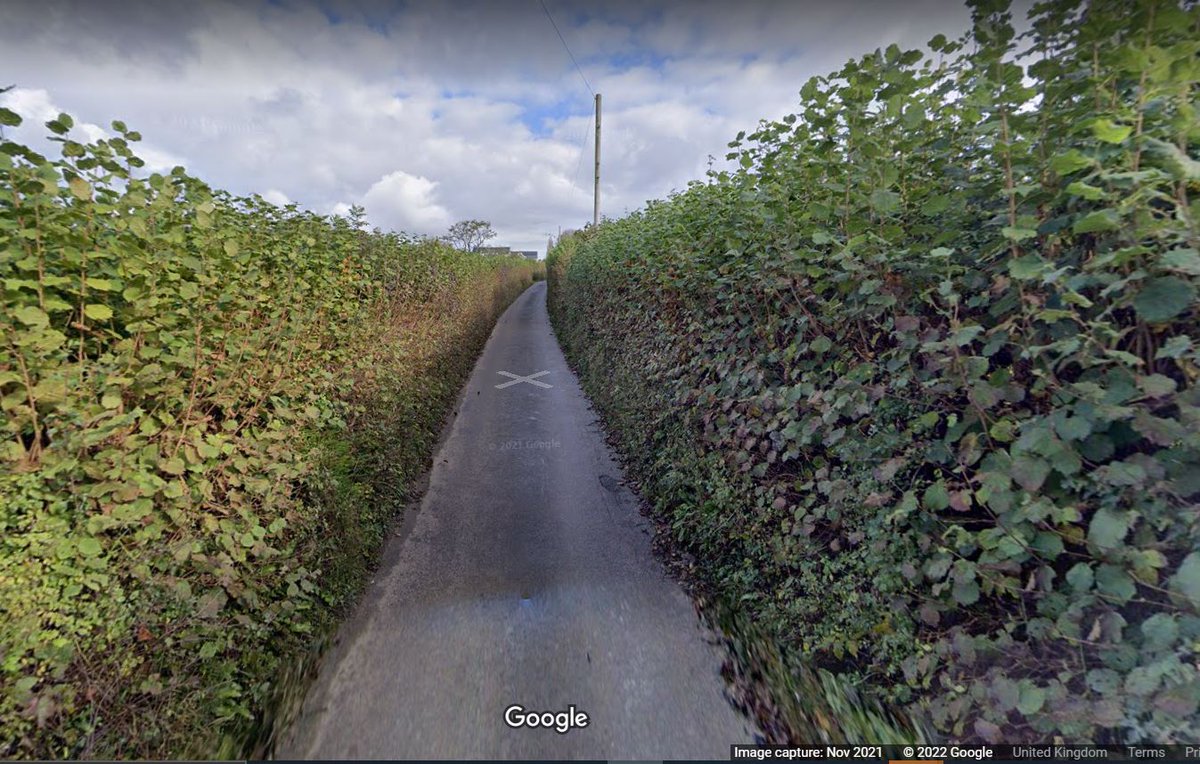 mishjholman's tweet photo. For all my overseas friends who have never experienced the terror of driving along a Devonshire road... https://t.co/z32R38ue4W