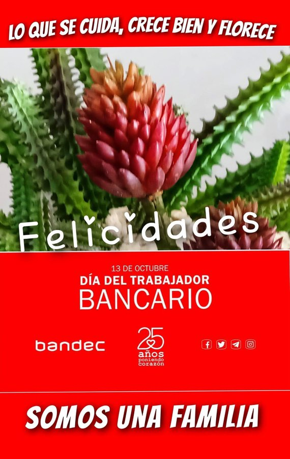 ComunalesP_Mtz's tweet photo. #ComunalesEnVictoria le desea muchisímas felicidades a los trabajadores bancarios.
#MatancerosEnVictoria
#Matanzas329
@SuselyMorfaG
@mariofsabines
@Guiller20961024
@gpppmatanzas
@hidovaldo https://t.co/kkSZ8idtWk