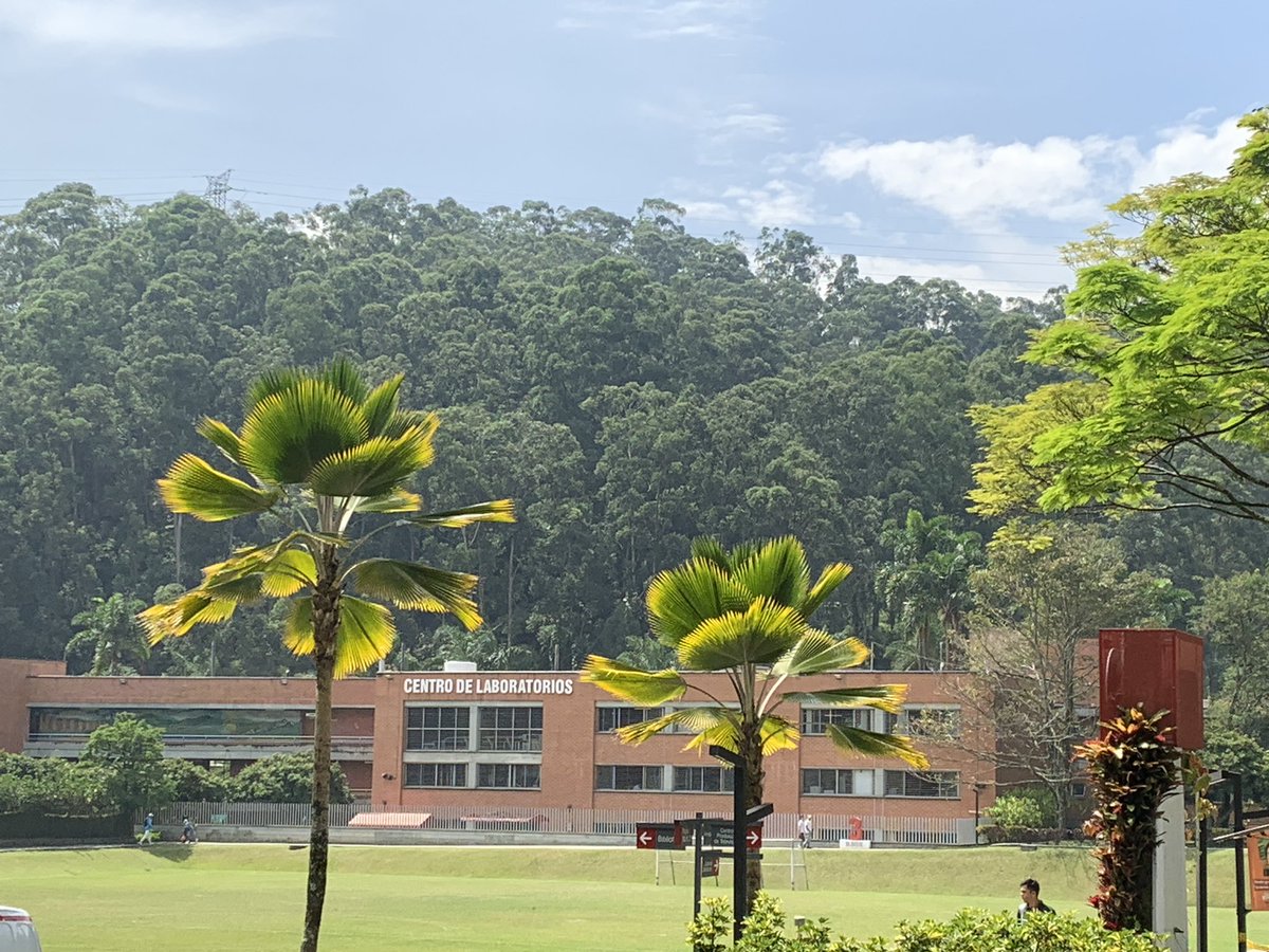 DirInves_FULL's tweet photo. ☑️ XXV ENCUENTRO NACIONAL Y XIX ENCUENTRO INTERNACIONAL DE SEMILLEROS DE INVESTIGACIÓN
☑️Trabajo: Medidas de Protección para Líderes Sociales Indígenas en 🇨🇴y los retos para su cumplimiento 
☑️Profesor Yesit Silva
#FULLInvestigaciones #FULLOrgullo @Apiojaramillo @UniLibertadores https://t.co/hP3NrPQKk4