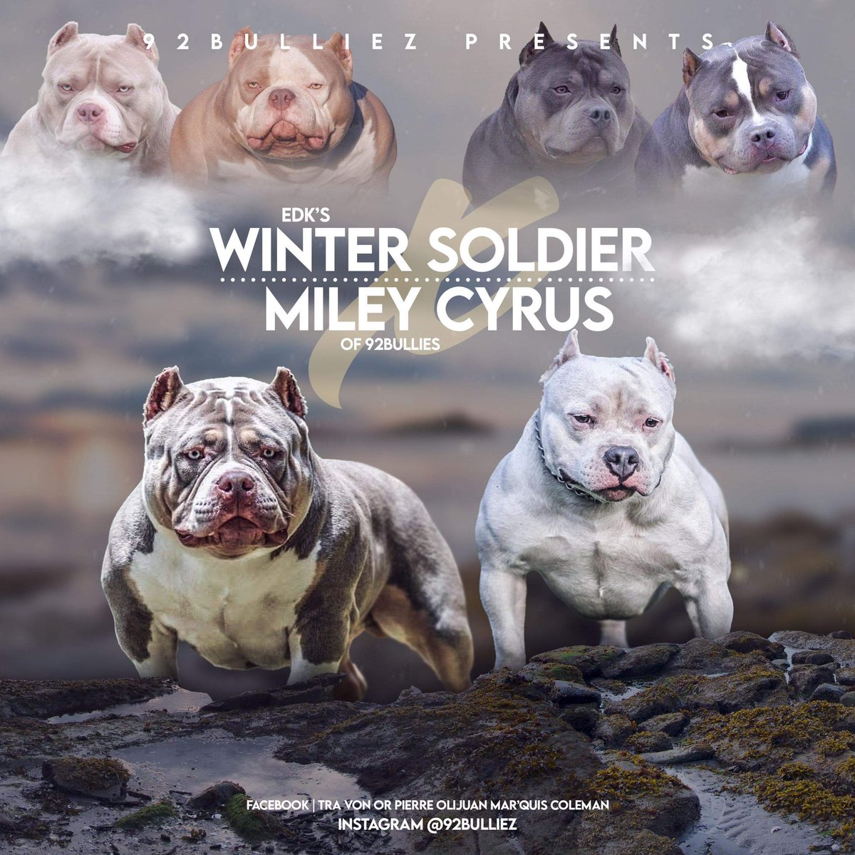 _OhYeaItsPierre's tweet image. Have puppies off this litter available. 5 Males and 1 female. Puppies will be 5 weeks tomorrow. Pm me 📥 for info. Serious Inquiries