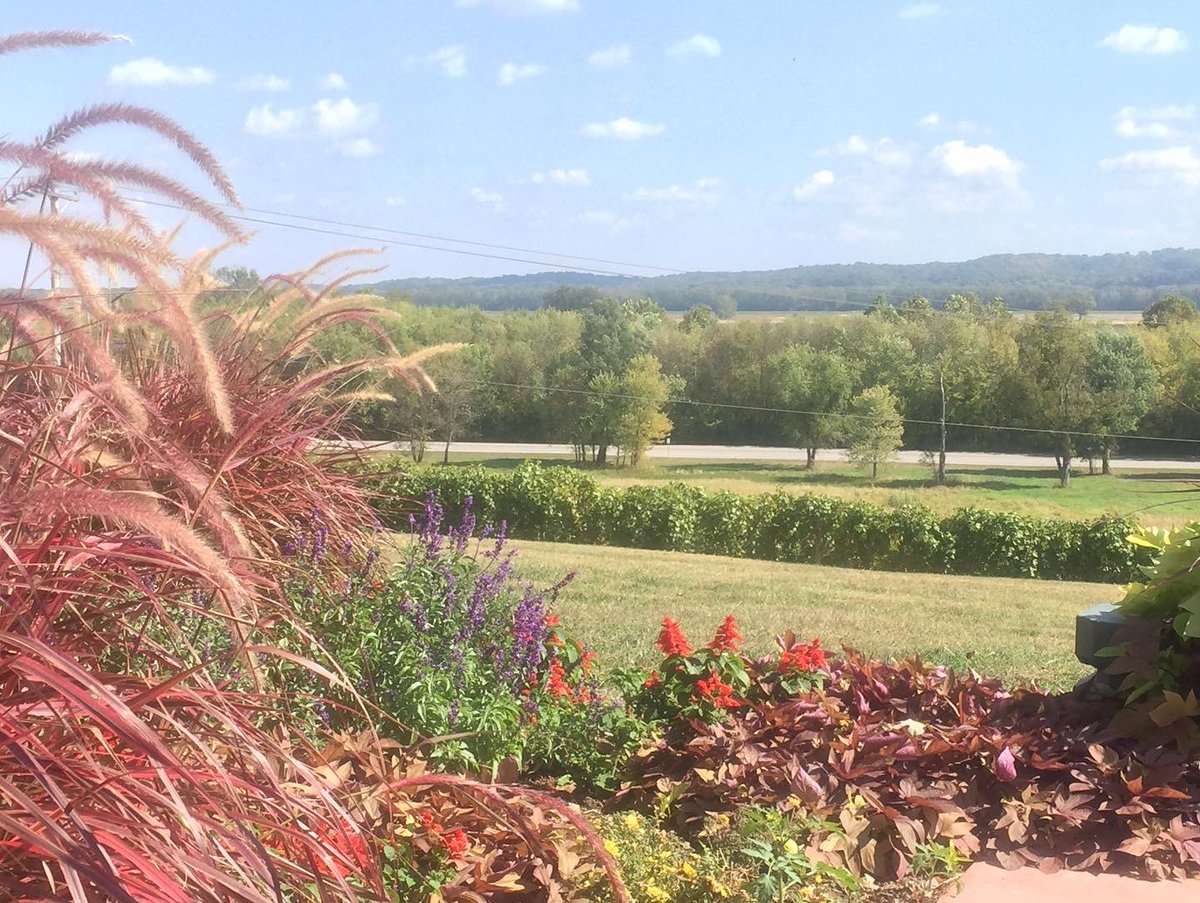 MoHistoricWine's tweet photo. It’ll be peak fall leaves 🍁 this weekend in #HistoricMissouriWineCountry Enjoy the leaves, weather, and sip our beer & wine in #DefianceMo #AugustaMo #DutzowMo 🍁🍺🍷 https://t.co/qwdVbqsDOy