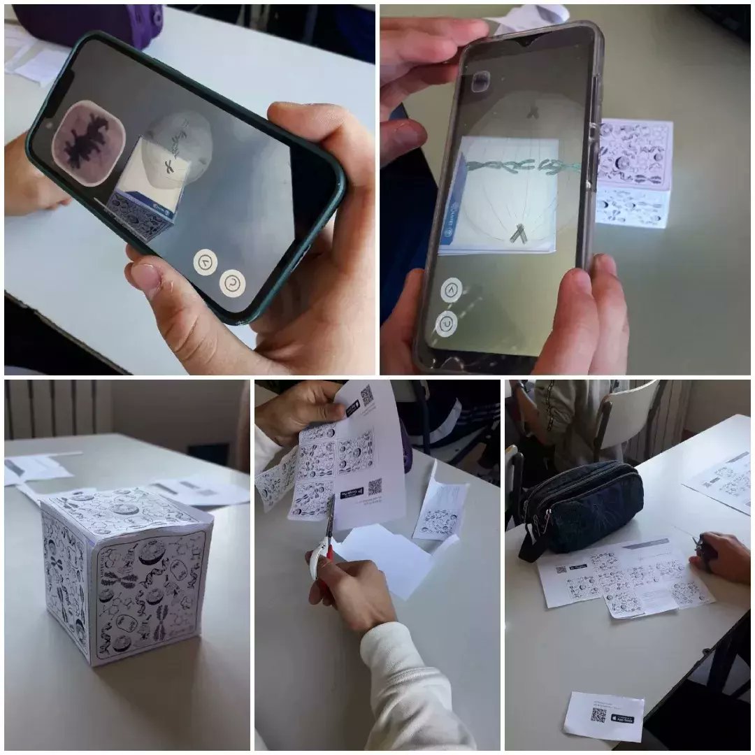 pampinbyg's tweet photo. Hoy en clase con #4ESO hemos revisado el proceso de división celular por mitosis utilizando la realidad aumentada. Unas tijeras✂️, un poco de pegamento, el móvil📱 y... ¡tachán! Mitosis en 3D🤓 
El recurso genialísimo, aquí👇🏼
https://t.co/pWYiMlaM7f https://t.co/JDUa7DITIK