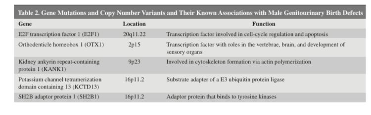 TurkJUrol's tweet image. Genetic Implications of Male-Reproductive-Health-Associated Comorbidities 

Punjani N. et al. 

#chromosomalabnormalities #geneticconditions #maleinfertility

Article link:
 turkishjournalofurology.com/en/genetic-imp…