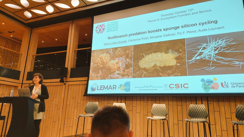 María López-Acosta tweet media