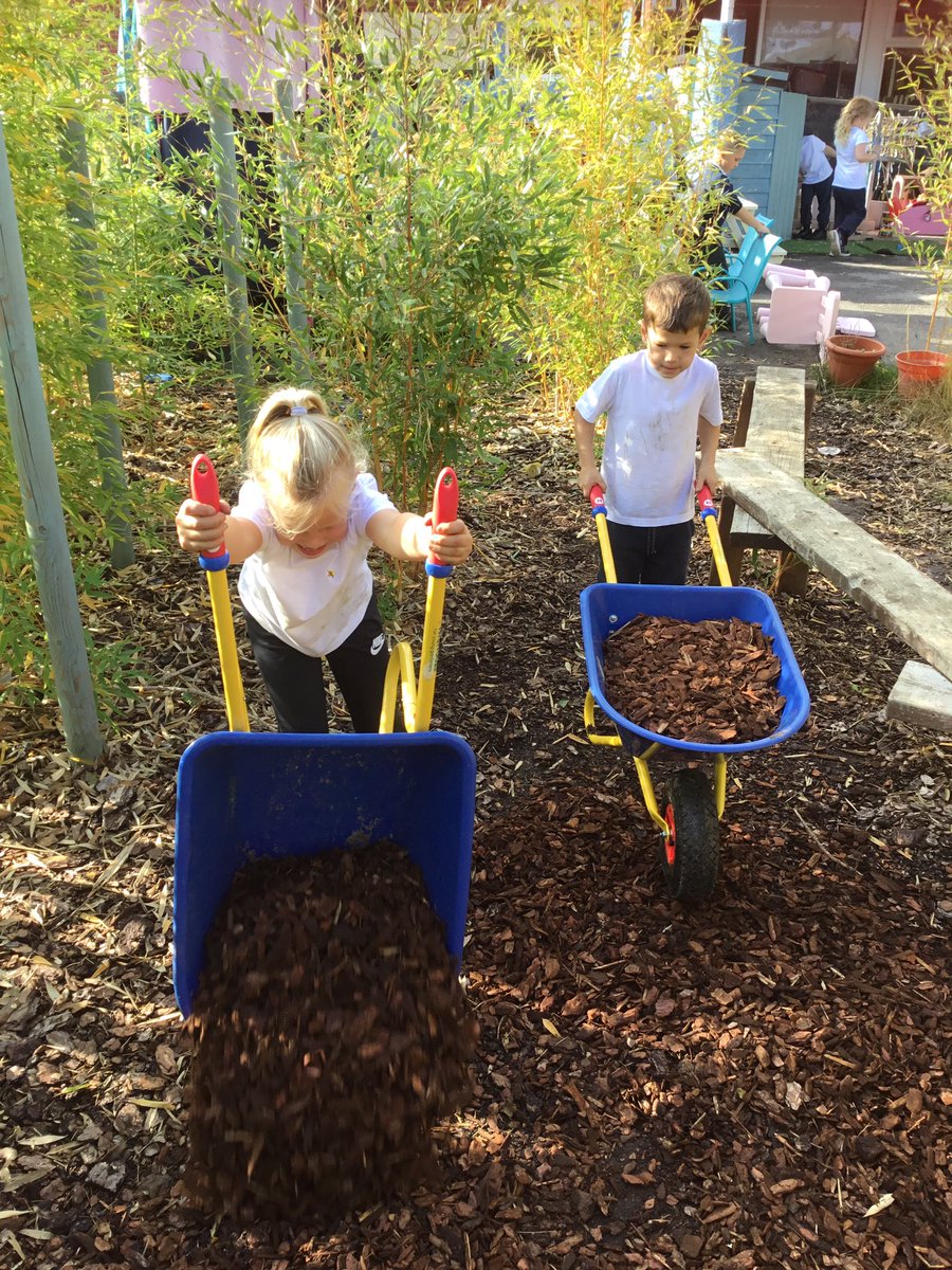 Shotley Badgers tweet media