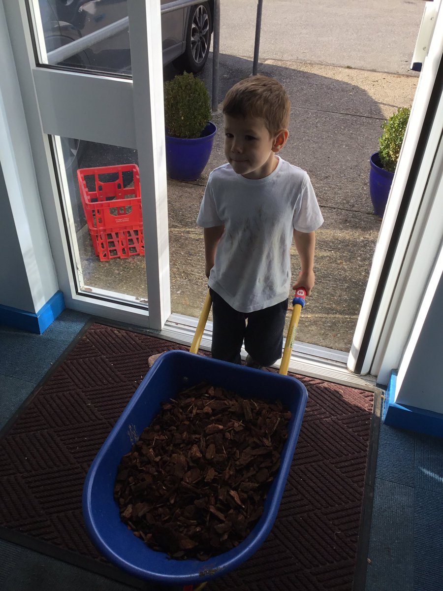 Shotley Badgers tweet media