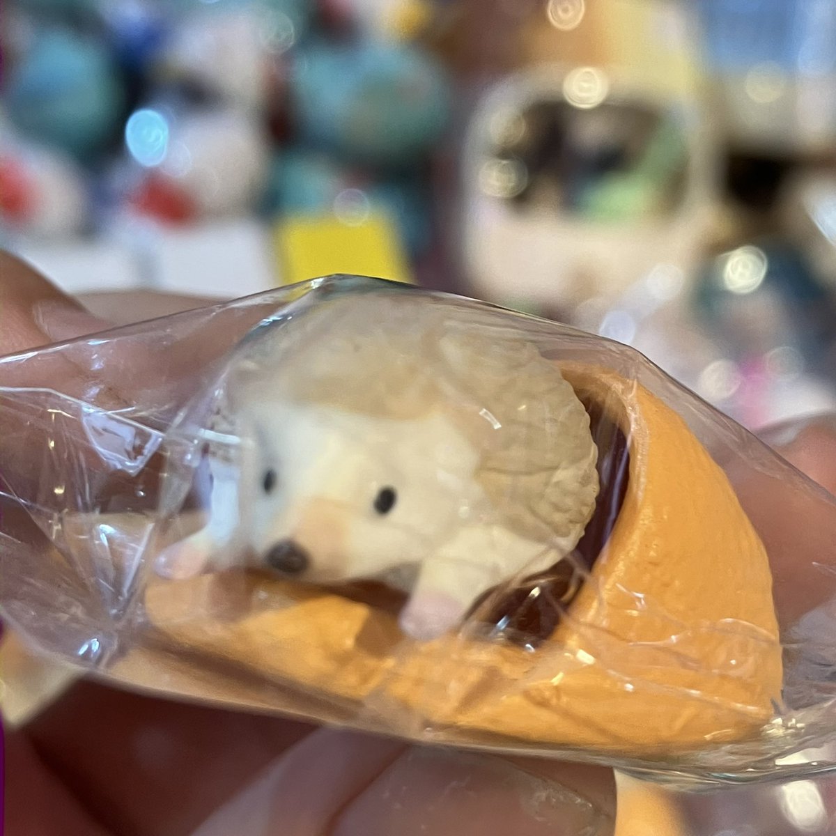 기억해…미니도치 만난 날..221013
승민데이25th…⭐️ 운명적인 만남을 기록하며

#미니도치_정복기  🦔💥👑
#1013번_리플레이해도_우리는_배승민ing