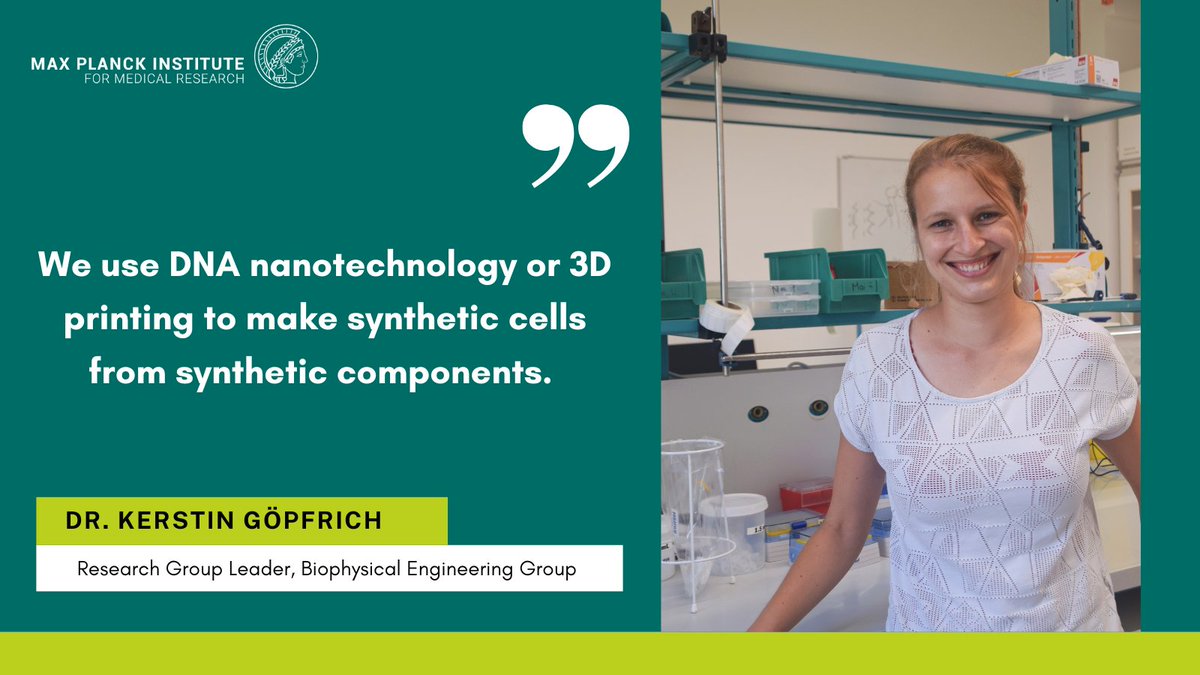 🌟Next up in our #MPIMRSpotlight series is @KGoepfrich. She is the Group Leader of our Max Planck Research Group Biophysical Engingeering. #synbio