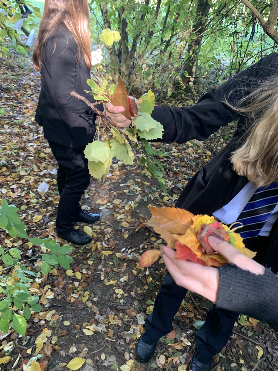 Darton Geography 🌍 tweet media