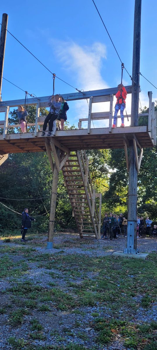 The Chandler Junior tweet media