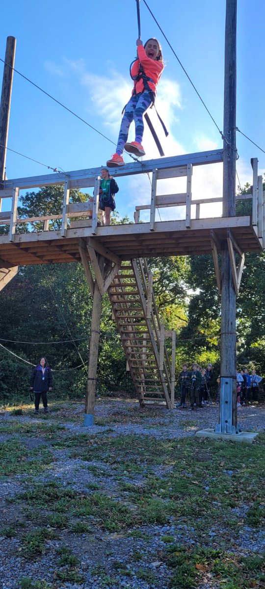 The Chandler Junior tweet media