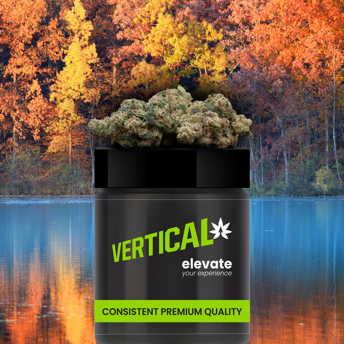 This is your sign to step away from the screen and get out into nature with your best bud.

Vertical provides consistent premium quality cannabis, time after time.

#VerticalCannabis #AutumnColours #PremiumQuality #ElevateYourExperience #bud
