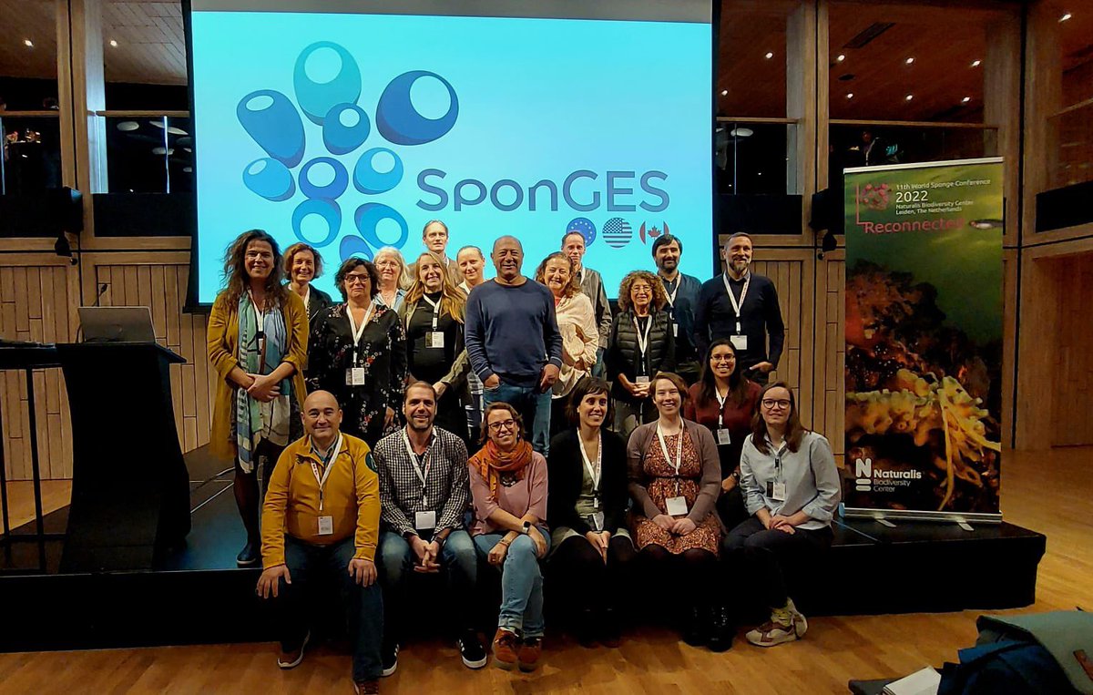 Joana Xavier tweet media