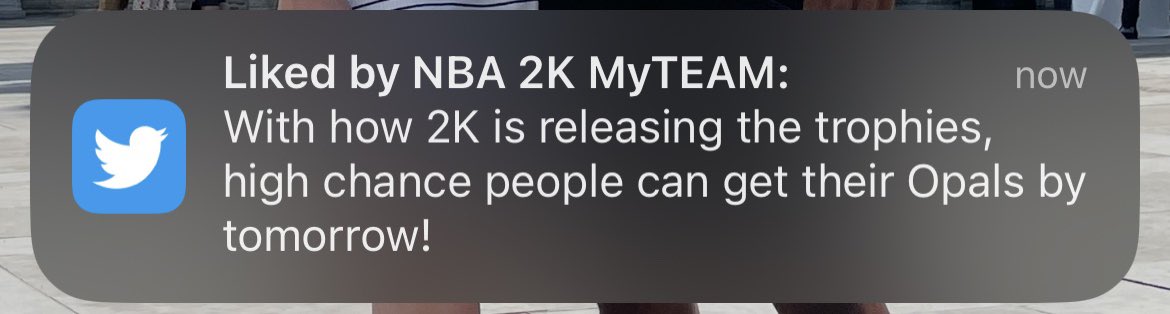 Safe to say Opals will be available tomorrow lol.