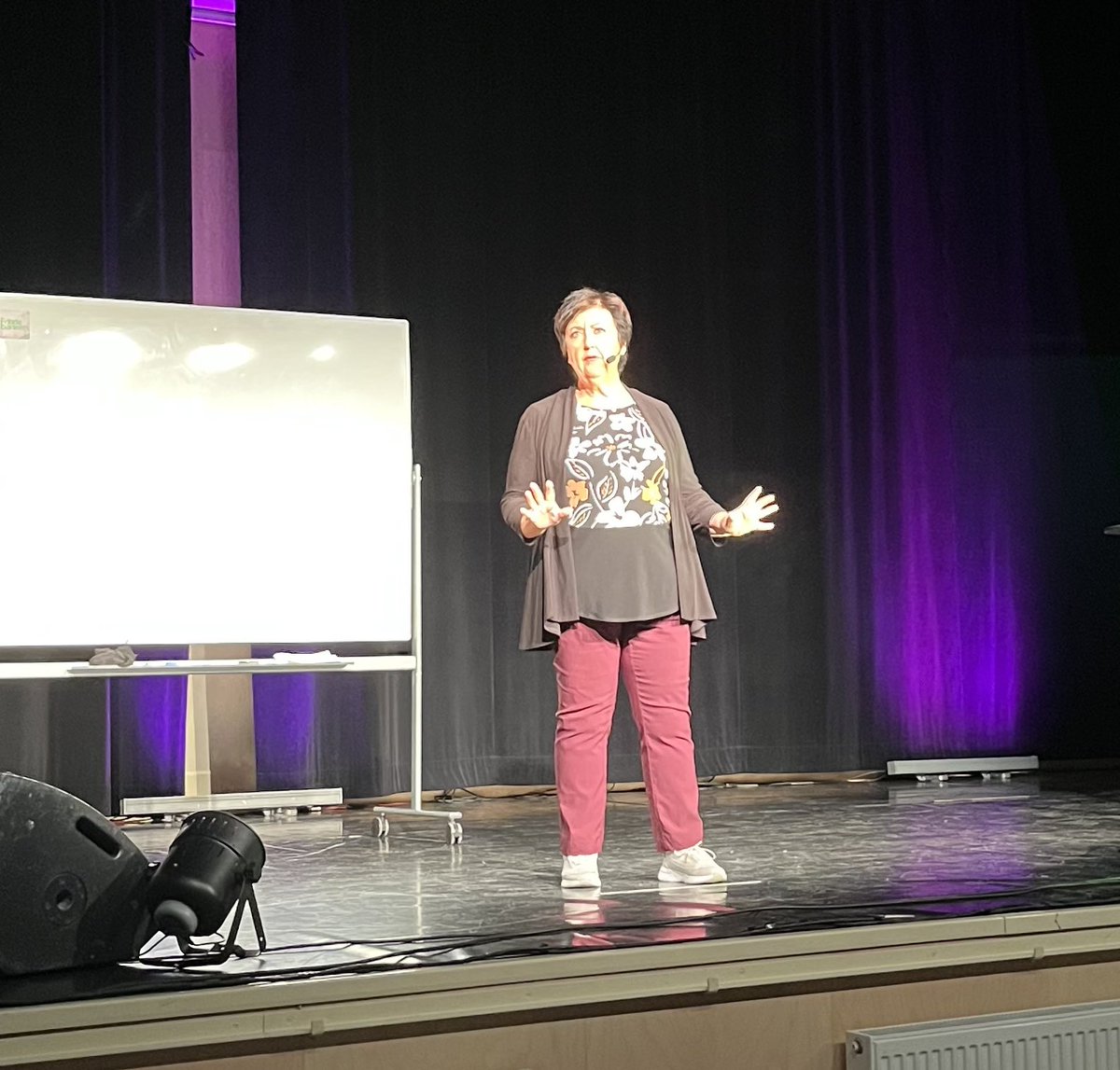 Tack @hållbaragotland för en genomgång av Agenda 2030, Mål 3 och <a href="/BabbenLarsson/">Babben Larsson</a> som gav oss många skratt och insikter👌