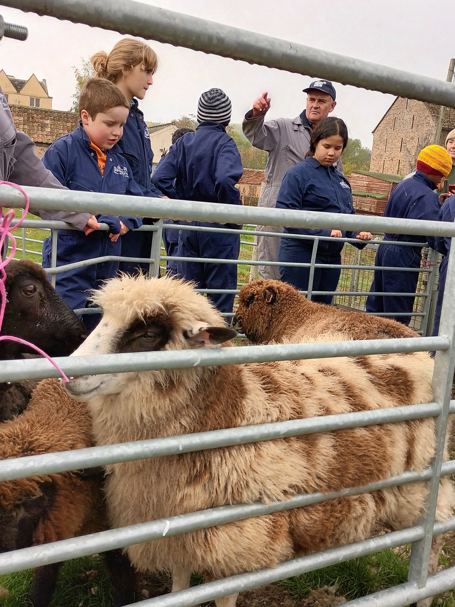 UoG BA Comms & Media tweet media