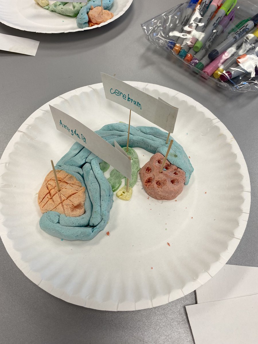 Kristen Dixon tweet media