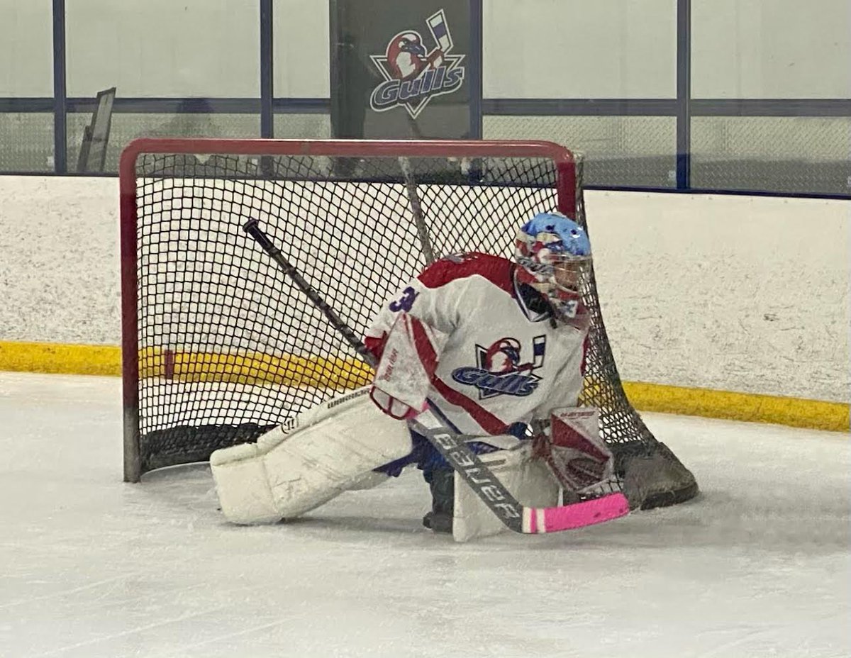 LIGullsHockey tweet picture