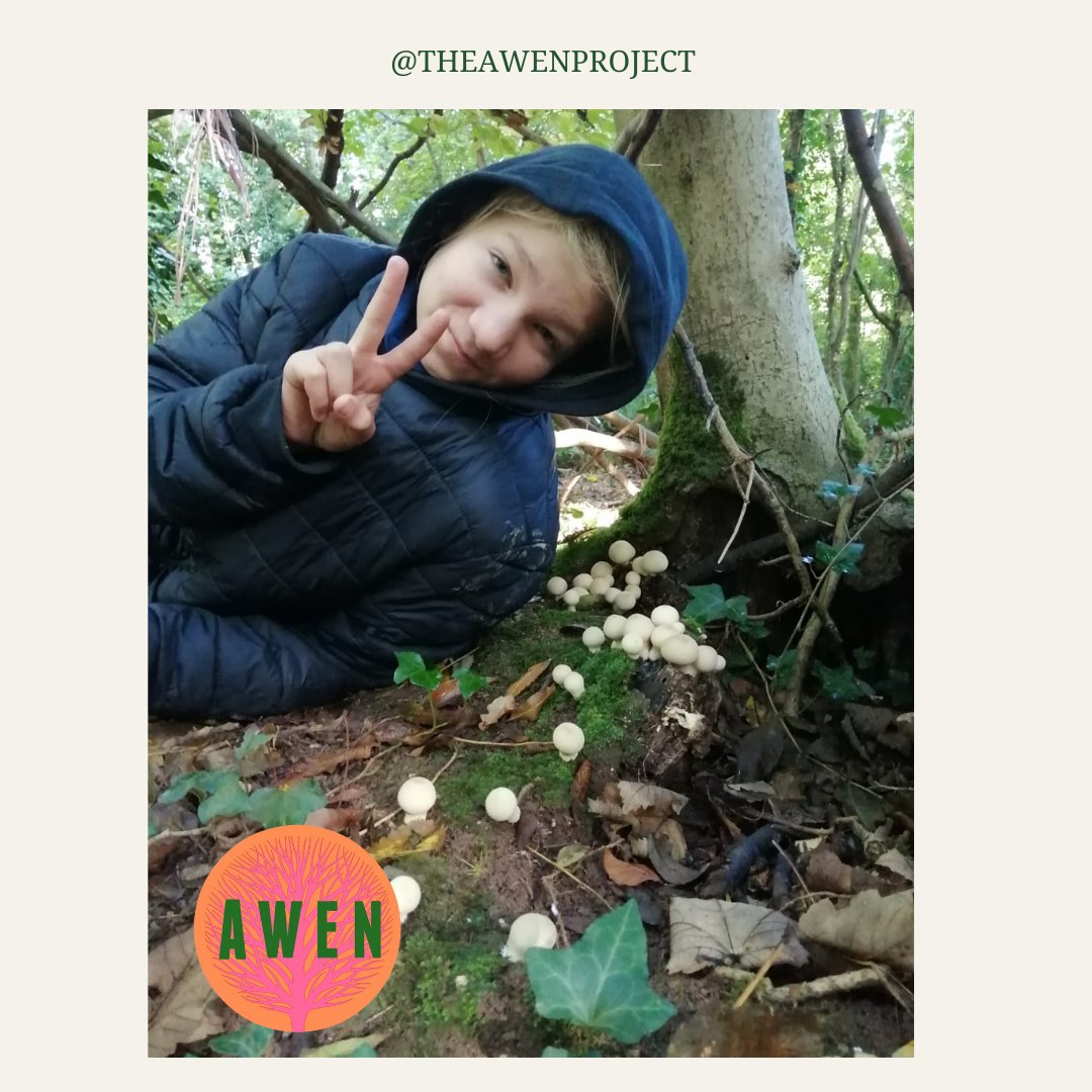 The Awen School tweet media