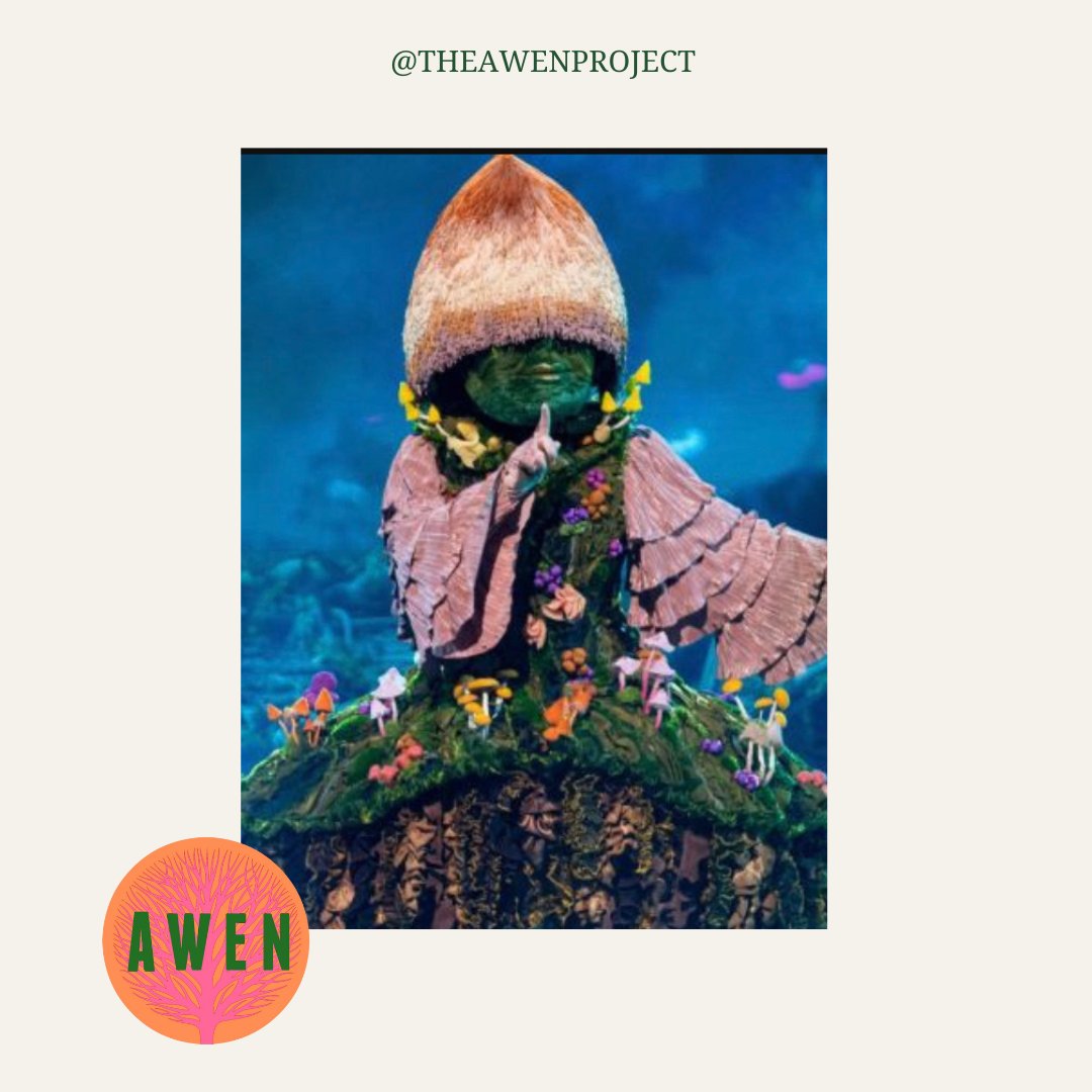 We have been learning all things 'Shrooms!
Finding their magic all over our wondrous woods today and learning different names and types of these magnificent things. Can YOU identify any of our findings! 
#mycelia #mushrooms #democraticeducation #learninginnature #woodlandlearning