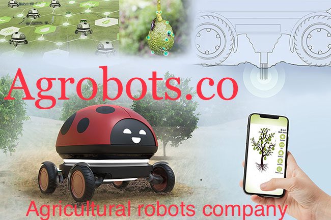 berlindomainz's tweet photo. https://t.co/ZxCRgAHyDP
#agrobots #agro #agrorobots #company #agrotech https://t.co/qSrhyz6MEV