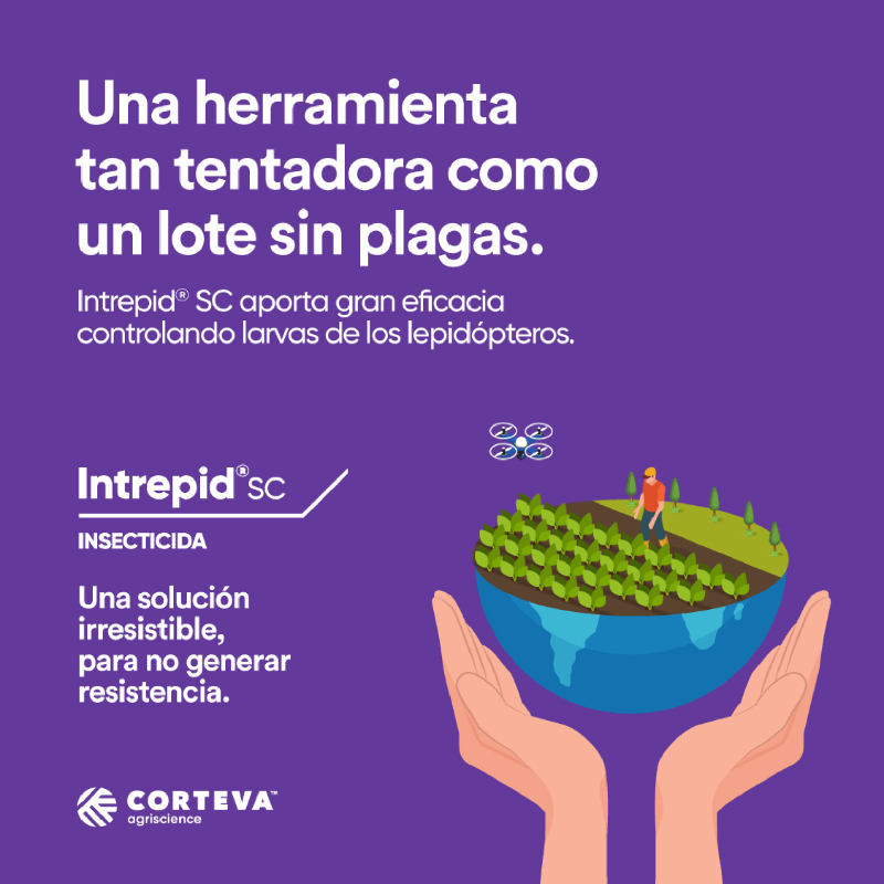 CortevaARG's tweet photo. ¡Conocé Intrepid® SC!

Te aporta gran eficacia controlando larvas de los lepidópteros. #IntrepidSC