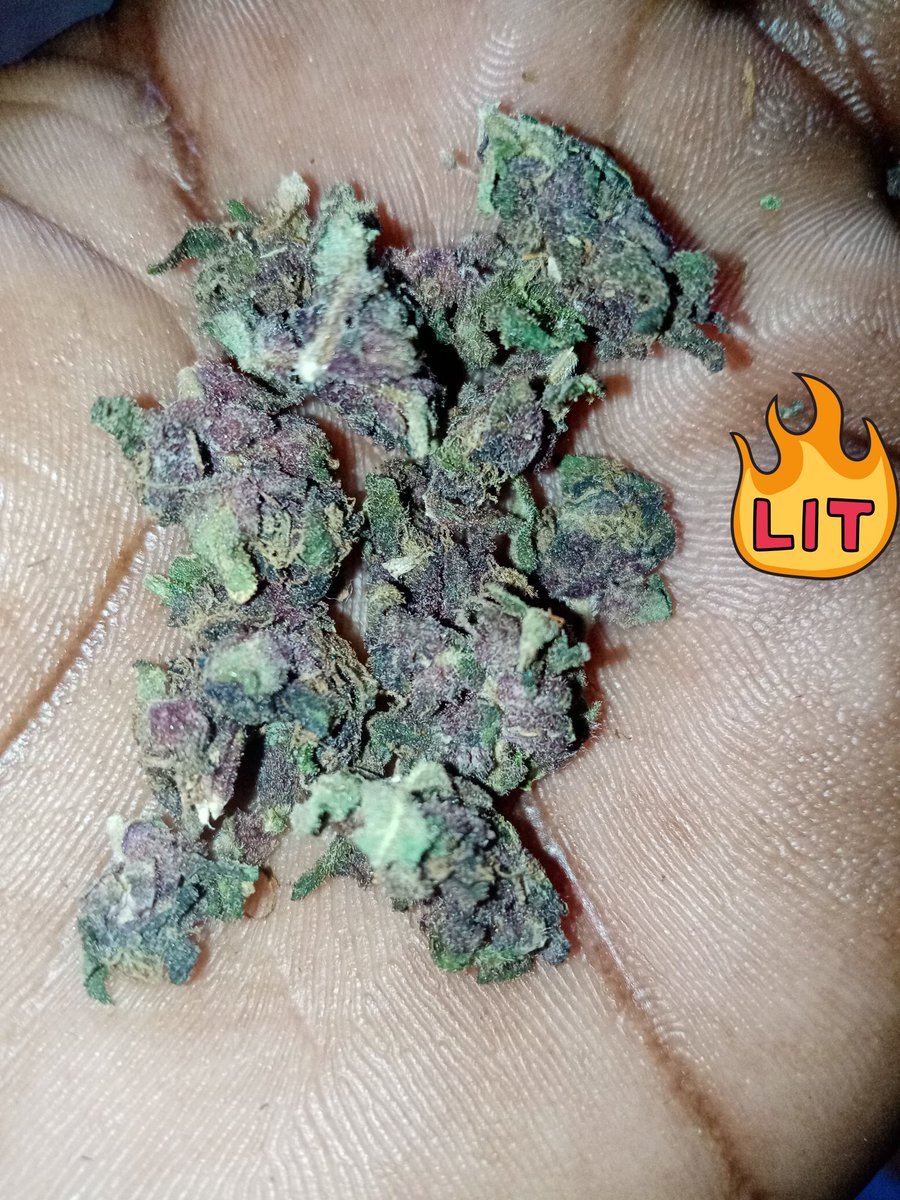 Smoken' smethng decent tday😋😋 #Mmemberville #420community #weedconsumer #smokers #StonerFam #CannabisCommunity #puffpuffpass #PlantOverPills