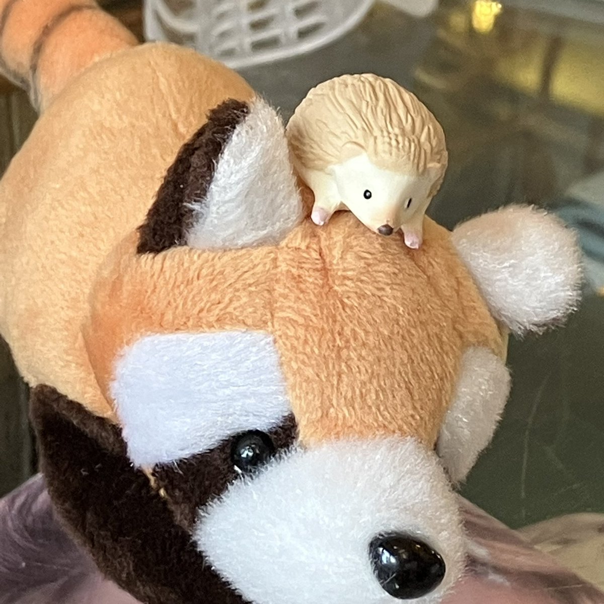 #미니도치_정복기 
누가 진짜인지 겨뤄보자구💥