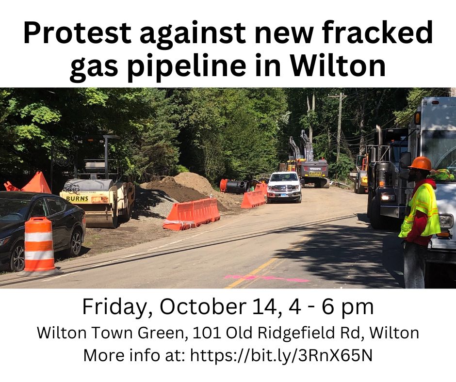 Pucky House tweet media