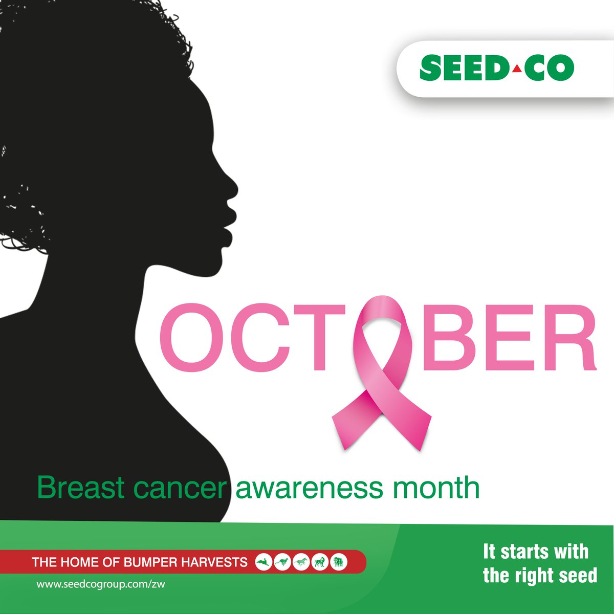SeedCoZimbabwe's tweet photo. October is Cancer awareness month.
Together we can beat Cancer.
Join the fight, one step at a time.
#cancerawarenessmonth
#health
#pinktober2022 https://t.co/wdXZSP9AC1