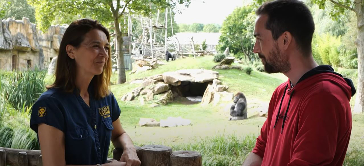 🎥 Découvrez les vidéos du Youtubeur <a href="/Absol_Videos/">Absol</a>, filmées au ZooParc ! Apprenez-en encore plus sur Beauval ! Au programme : interviews sur la conservation des espèces et bien d’autres sujets ! Bon visionnage ! 😉 🍿
youtube.com/watch?v=4LhFUx… 1/4