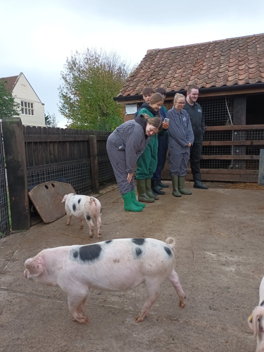 UoG BA Comms & Media tweet media