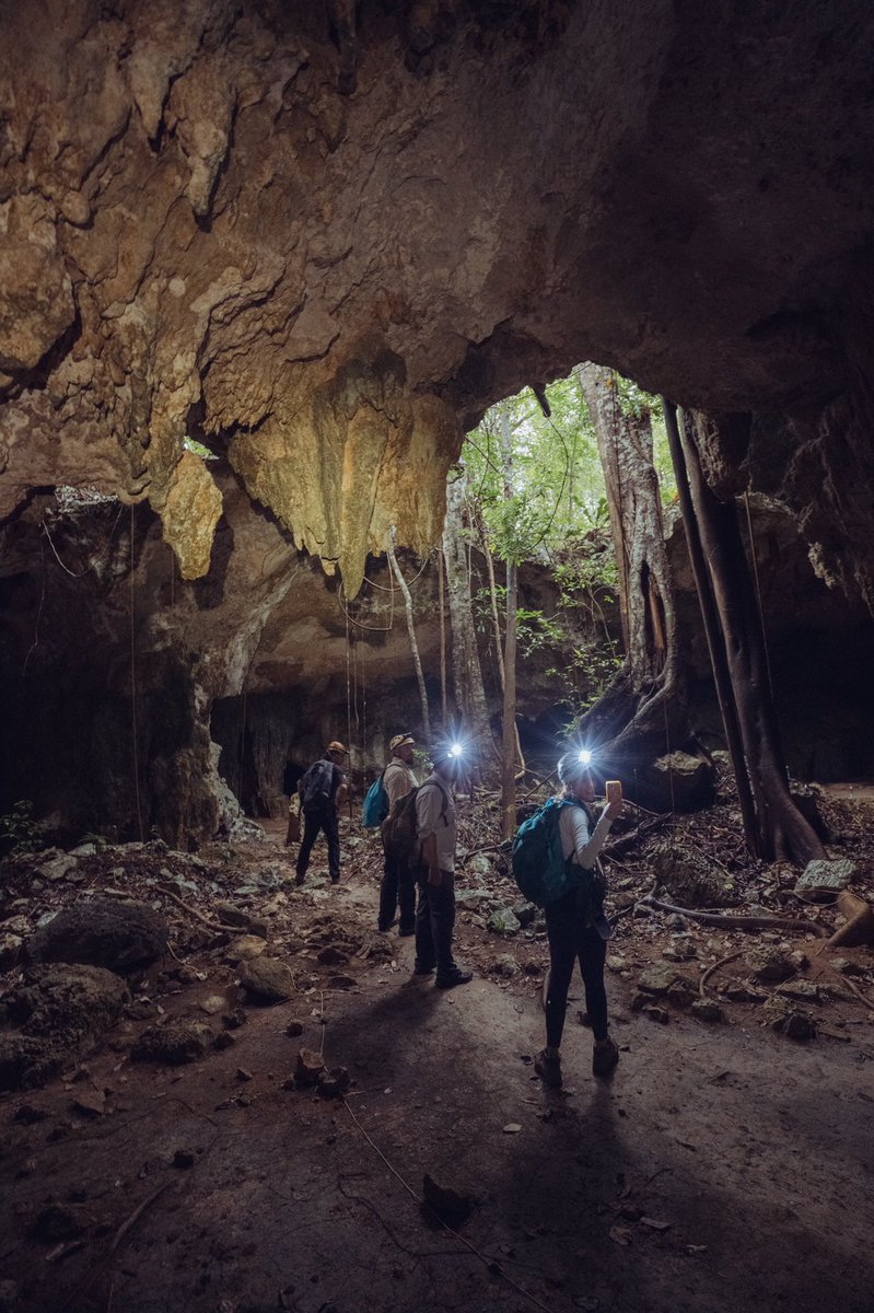 cris_n0's tweet photo. Cueva subterránea de 47km de largo😨. De las más largas de México y el mundo 🇲🇽🌎 . Caminamos 4 horas dentro de ella. RESGUARDA NUESTRA AGUA POTABLE💧. Y sí, queda debajo del @TrenMayaMX. https://t.co/Ax96ei3T0t