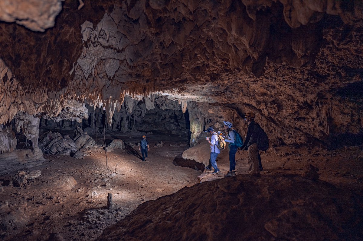 cris_n0's tweet photo. Cueva subterránea de 47km de largo😨. De las más largas de México y el mundo 🇲🇽🌎 . Caminamos 4 horas dentro de ella. RESGUARDA NUESTRA AGUA POTABLE💧. Y sí, queda debajo del @TrenMayaMX. https://t.co/Ax96ei3T0t